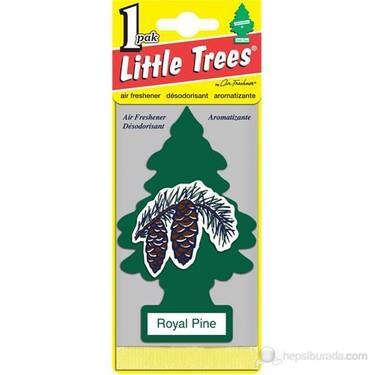 Little Trees Royal Pine Kağıt Koku Oto Kokusu - 1