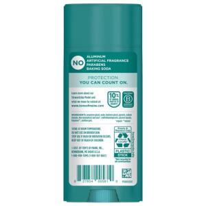 Tom's of Maine North Woods Kuzey Ormanları Deo Stick 92 gr Aluminum Free - 2